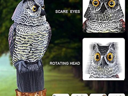 Shaking Head Owl Hot on Sale