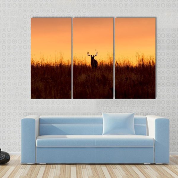 Whitetail Buck In The Sunrise Canvas Wall Art Discount