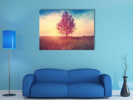 Alone Tree Over Sunrise Canvas Wall Art Online Sale