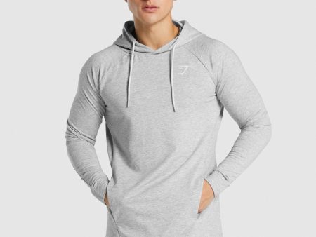 Gymshark Critical 2.0 Hoodie - Light Grey Marl Online now