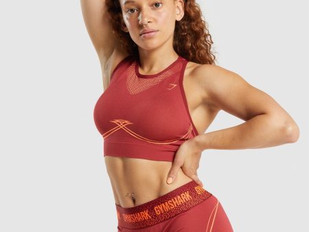 Gymshark Apex Seamless Sports Bra - Burgundy For Discount