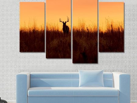 Whitetail Buck In The Sunrise Canvas Wall Art Discount