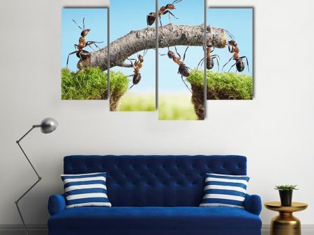 Ants Constructing Bridge Canvas Wall Art For Cheap