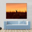 Whitetail Buck In The Sunrise Canvas Wall Art Discount