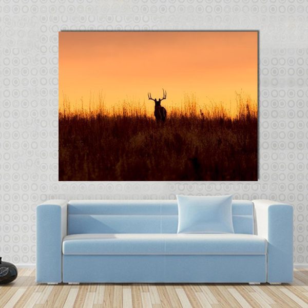 Whitetail Buck In The Sunrise Canvas Wall Art Discount