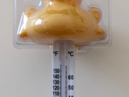 Floating duck thermometer on Sale