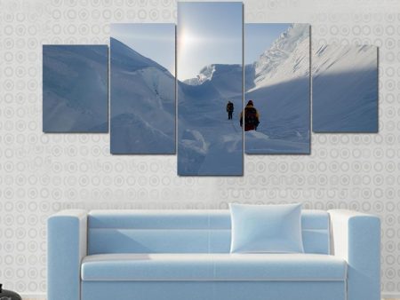 Adventures In Antarctica Canvas Wall Art Supply