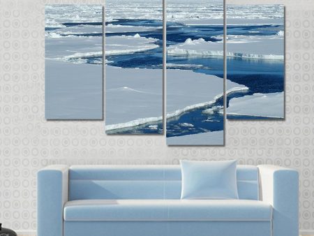 Antarctic Pack Ice Canvas Wall Art For Cheap