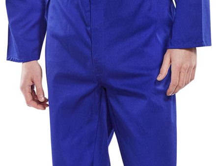 REGULAR PC B SUIT ROYAL Fashion