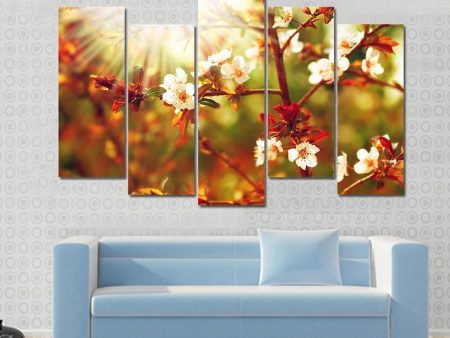 Almond Tree Blossom In Spring Canvas Wall Art Online now