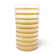 Sorghum Yeast Extract Agar Plates (SYA) on Sale