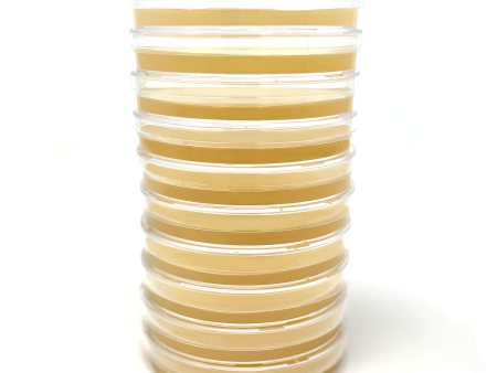 Sorghum Yeast Extract Agar Plates (SYA) on Sale